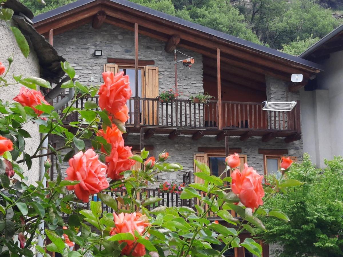 Agriturismo Al Pra Di Muriet 苏萨 外观 照片