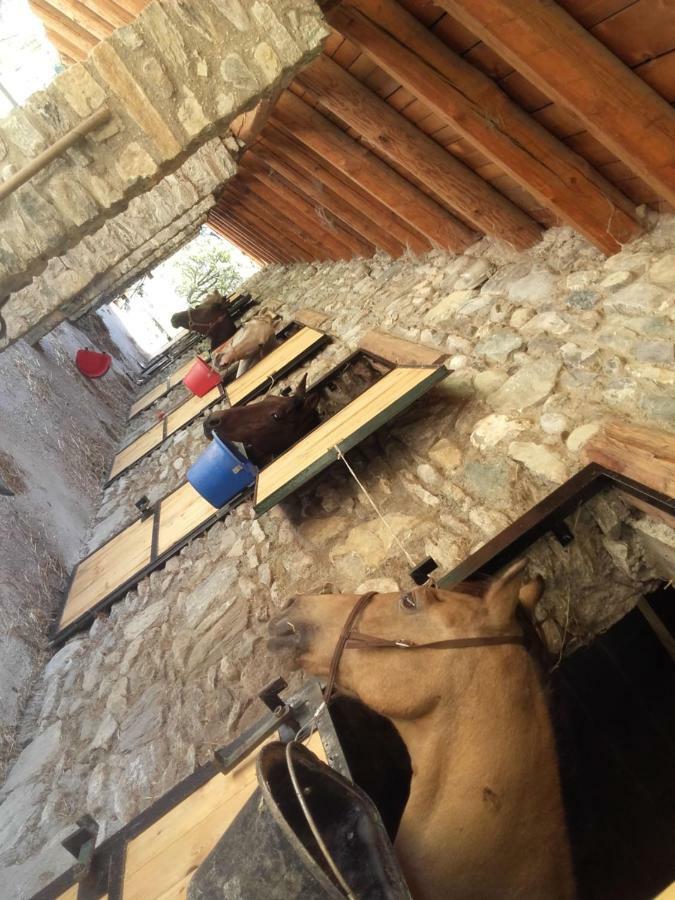 Agriturismo Al Pra Di Muriet 苏萨 外观 照片